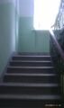 IMAG0773